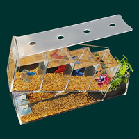 Aquarium Moderne Créatif pour Poissons Betta, en Acrylique, de Bureau, 150 ml, Multi-Compartiments, Zone d'Isolation, Filtre Auto-Circulant, Écologique, Sans…