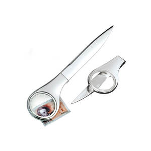 Stainless Steel <b>Letter</b> <b>Opener</b> With Magnifier 173mm Precision Cut For Envelope Opening And Stamp Viewing - Product Image 1