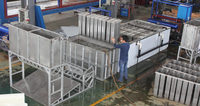 Entreprise de fabrication de glace à vendre, machine à glace de 30 tonnes pour les fruits de mer frais