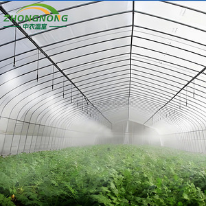 Invernadero Agrícola Tipo Túnel de Techo Único de Bajo Costo, Película de PE, Tamaño Pequeño, Mejor Precio del Fabricante Chino, para Cultivo de Tomates y Vegetales - Product Image 1