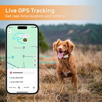 Traceur GPS pour chien 4G cellulaire, design étanche en silicone, suivi en temps réel, assistant vétérinaire IA, surveillance d'activité, anti-évasion pour chien