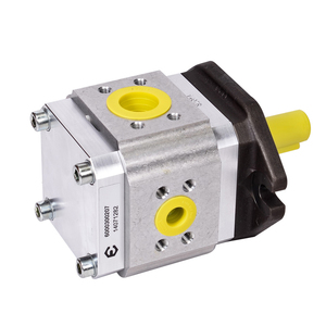 Bomba de Engranajes Internos Hidráulica de Alta Presión ECKERLE Serie EIPH2 EIPH3 EIPH5 EIPH6 EIPS2-022RA~025RA04 - Product Image 2
