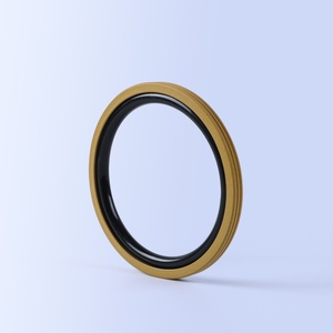 Nhà máy cung cấp gioăng xoay kép tác dụng kép GNS/SSP/OEP bằng PTFE cho ngành dầu khí - Product Image 1