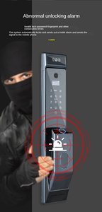 Cerradura Inteligente Recargable con Reconocimiento Facial 3D, Huella Dactilar, WiFi, Cámara Integrada, Aleación de Aluminio y Acero, Aplicación Tuya - Product Image 3