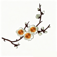 Patchs brodés personnalisés fleur de prunier, appliques thermocollantes brodées fleur de prunier