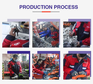 שרשרת גז סין ראה 25cc 38cc 45cc 75cc 80cc 92cc 18 24 סמ "ק בנזין הידראולי נייד עם שרשרת קנגשין - Product Image 3