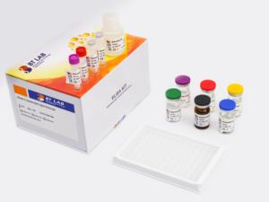 Peptide comme un glucagon humain 1, kit d'E0022Hu de GLP1 ELISA - Product Image 4