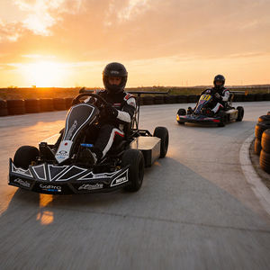 Nouveau design de kart électrique de course commercial pour adultes et adolescents, idéal pour les parcs d'attractions et les jeux de plein air - Product Image 4