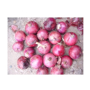 Fournisseur chinois d'oignons frais de haute qualité Vente en gros d'oignons biologiques Oignons rouges - Product Image 3