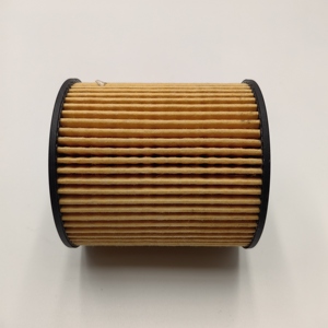 Filtre à huile automobile Yue Sheng neuf 1109.Z1 1109.X3 1109.X4 1109.Z2 Filtration HEPA en papier pour modèles RCZ - Product Image 2