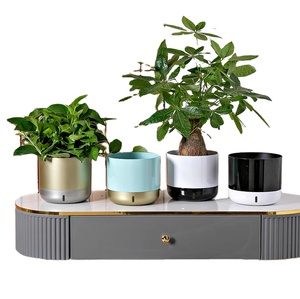 Maceta pequeña de plástico esmaltado de gran oferta <span class=keywords><strong>para</strong></span> uso doméstico de escritorio con fines decorativos - Product Image 4