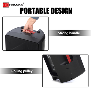 Enceinte passive double 12 pouces HYANKA S-1202 avec un niveau de pression sonore de 123 dB, livrée avec une console de mixage active assortie - Product Image 3