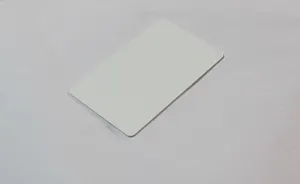 Tenet Customizable NFC Blank White S50 RFID Cards Access And More