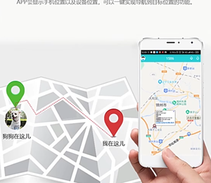 Localizador de Mascotas DF XM C032-CAT 1, 700 mAh, 4G, Red Completa, Terminal Inteligente para Mascotas, IP67, Posicionamiento GPS/Beidou/LBS, Rastreador GPS para Mascotas - Product Image 5