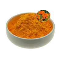 Poudre de marigold naturelle sèche avec lutéine, extrait végétal sous vide pour une vision améliorée