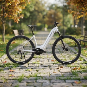 Vélo de montagne électrique CYCTRAC EC2 avec batterie au lithium, moteur central <span class=keywords><strong>SHIMANO</strong></span>, frein à disque 9 vitesses, 45 km/h, vélo de ville sport - Product Image 6