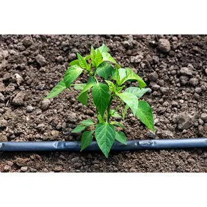 Manufacturer Plant Irrigation Drip Irrigation System Agriculture