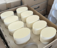 Échangeur de chaleur en céramique, substrat catalytique en cordierite en nid d'abeille, convertisseur catalytique à trois voies Euro IV de remplacement
