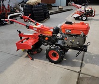 Petit tracteur agricole compact chinois à moteur diesel de 10 ch, cultivateur, tracteurs de jardin, prix de vente