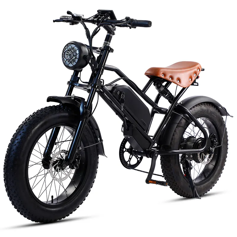 Powerful Modern Fat Tire Electric Mountain Bike With Big Panel Removable Lithium Battery Electric Fat Tire Bike