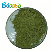 Poudre d'herbe d'orge 100% pure de qualité alimentaire du fabricant – Poudre d'herbe d'orge de haute qualité