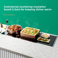 Planche chauffante électrique encastrable en acier inoxydable pour restaurant, température réglable, écologique, pour buffet et maintien au chaud des aliments