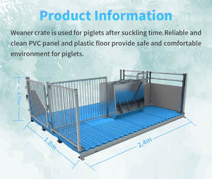 Nouvel équipement d'élevage porcin sûr et confortable : Caisse d'élevage pour porcelets avec panneaux et plancher en acier galvanisé pour le sevrage des porcelets - Product Image 2