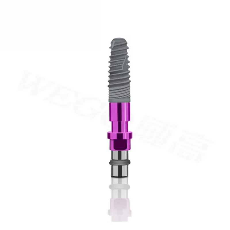WEGO Straight Abutment Dental Abutment Compatible With Dental Implant System Factory Sale Dental Screws