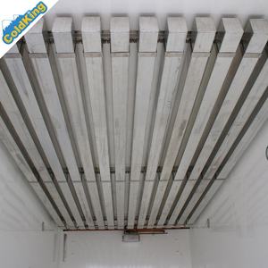 ColdKing-unidad de refrigeración para camión, transporte de helados, cuerpo de camión, 4,5 m(<span class=keywords><strong>L</strong></span>)x2.15m(W)x2.25m(H) -40C Kooltube eutectic - Product Image 4