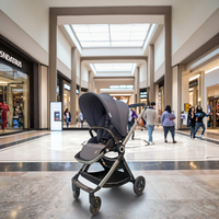Poussette bébé multifonctionnelle de luxe 3 en 1 Chariot pliant portable à 4 roues pour nouveau-nés Belle conception de paysage