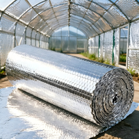 Rouleau d'isolation en aluminium à bulles pour serre