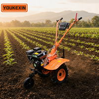Cultivador de Potencia con Motor Diésel de Accionamiento Directo al Mejor Precio, 173F 178F 186F, Certificado CE ISO, de Alta Resistencia para Agricultura y Granjas, Venta al Por Mayor