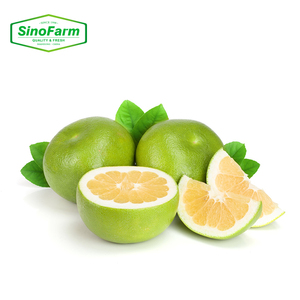 Pamplemousse <span class=keywords><strong>chinois</strong></span> prêt à exporter prix d'usine frais peau jaune Pomelo Fruits - Product Image 5