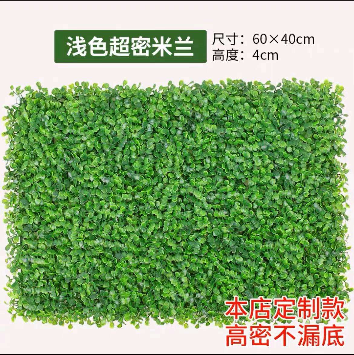 Light-colored super-dense Milan