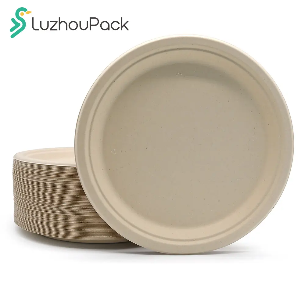 LuzhouPack Food Grade Natural Sugarcane Pulp Unbleached 10" Hotel Paper Round Disposable Pizza Plate Dinnerware