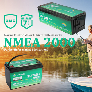 Batterie rechargeable au lithium-ion 12V 24V 48V 50Ah 80Ah 100Ah 120Ah 150Ah 200Ah 250Ah - Product Image 2