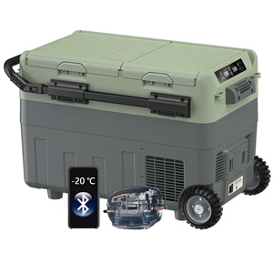 <span class=keywords><strong>Réfrigérateur</strong></span> portable de voiture <span class=keywords><strong>à</strong></span> double compartiment 40L avec contrôle par application, alimentation <span class=keywords><strong>solaire</strong></span>, roues et poignée rétractable - Product Image 1