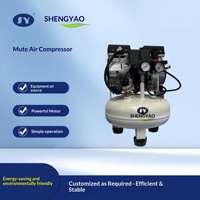 Compresseur d'air mobile silencieux sans huile 10L, petite pompe à air portable pour équipement de beauté et pistolet de micro-aération