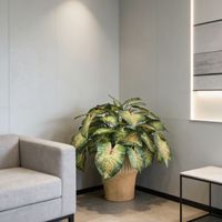 Plantes en pot d'Alocasia artificielle de qualité supérieure, design personnalisé Nifloral, aspect varié, décoration pour la maison, le bureau, l'hôtel, Alocasia en plastique coloré, bonsaï