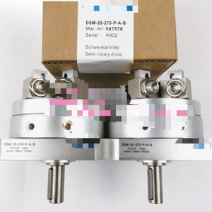 1 stks Nieuwe Fit voor Luchtcilinder Dsm-25-270-fw-wbra-b 547598 Vracht Gratis - Product Image 1
