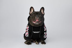 Moda a juego perro y sudaderas con capucha humana <span class=keywords><strong>bulldog</strong></span> francés Sudadera con capucha fábrica al por mayor suministro de ropa para mascotas gordas - Product Image 3