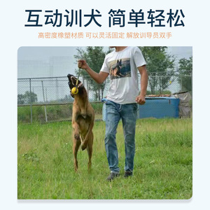 Balles à mâcher pour l'entraînement des chiens avec corde en caoutchouc, jouets de jeu en plein air pour animaux de compagnie - Product Image 3