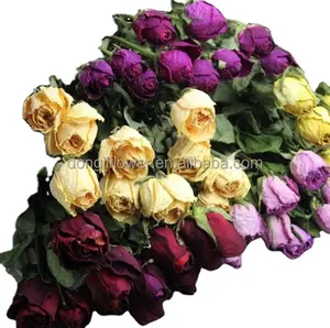 干燥的天然玫瑰花单玫瑰茎和花朵，用于插花、婚礼、家居装饰。