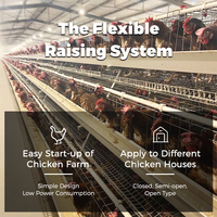 Cage à poules pondeuses en batterie, équipement d'élevage en acier galvanisé à chaud pour l'agriculture