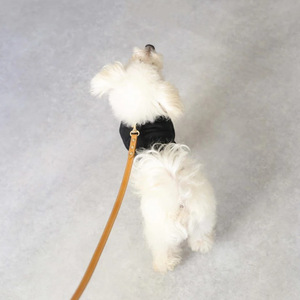 Small to medium-sized <b>dog</b> leather <b>leash</b>, PU leather pet collar and <b>leash</b>, comfortable <b>dog</b> <b>leash</b>. - Product Image 4