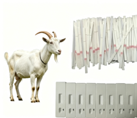 Test de grossesse rapide pour chèvres et moutons, kit de test de grossesse pour petits ruminants, animaux vétérinaires ---- Lecture rapide des résultats