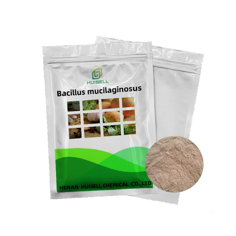 Биобактериальные микроорганизмы удобрение bacillus mucilaginosus
