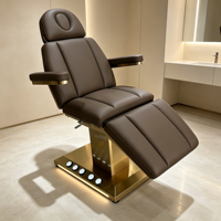Fauteuil de beauté électrique à 3 moteurs avec base dorée, réglable, pour soins du visage et tatouages, avec tabouret, chariot de beauté et lumière LED