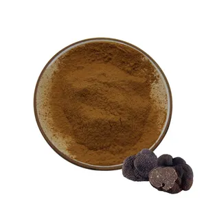 Poudre d'extrait de truffe noire de haute qualité polysaccharide d'extrait de truffe noire