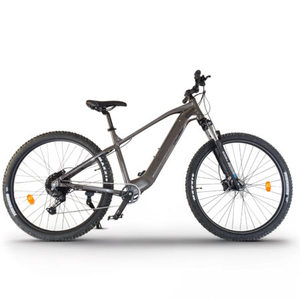 Ebikes UrbanBiker UB300B | Ebike Montaña - Product Image 1